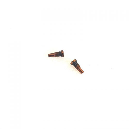 Set de 2 tornillos inferiores pentalobe para iPhone 8